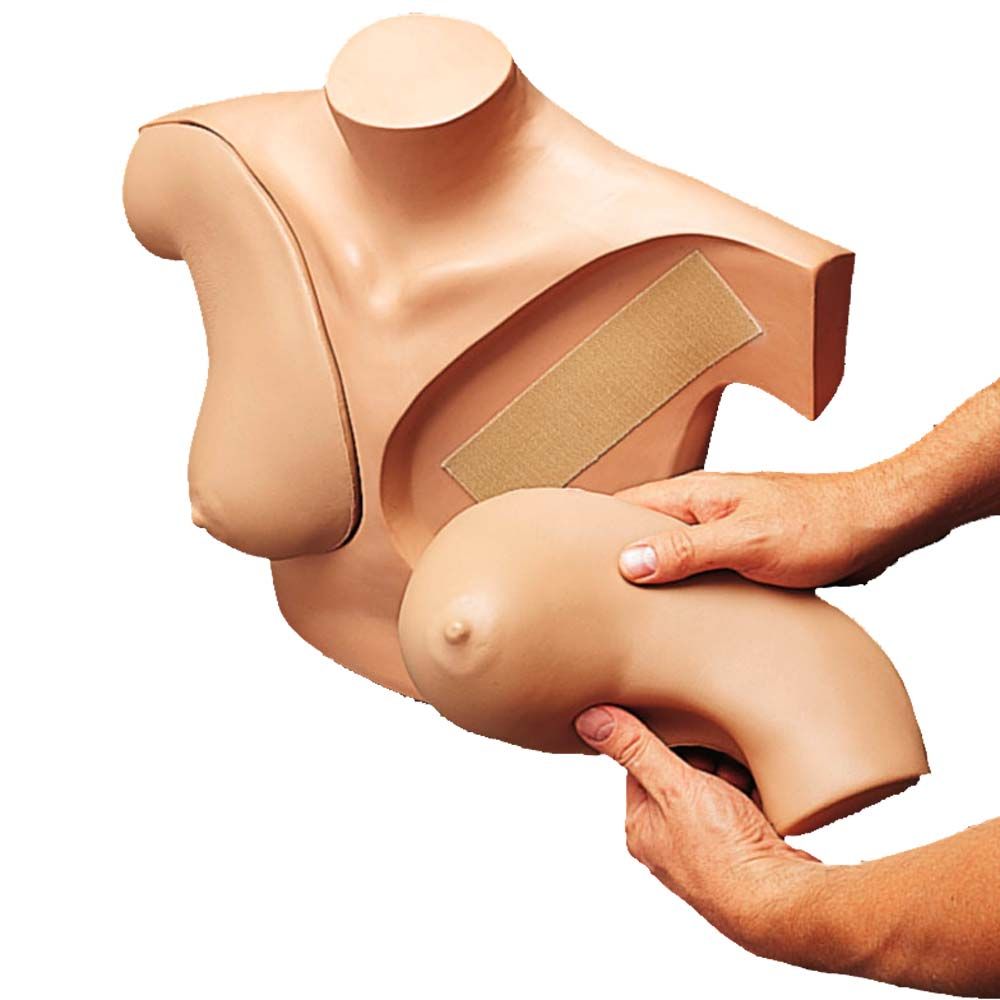 Erler Zimmer - Brustuntersuchung Übungsmodell mit 9 Knoten