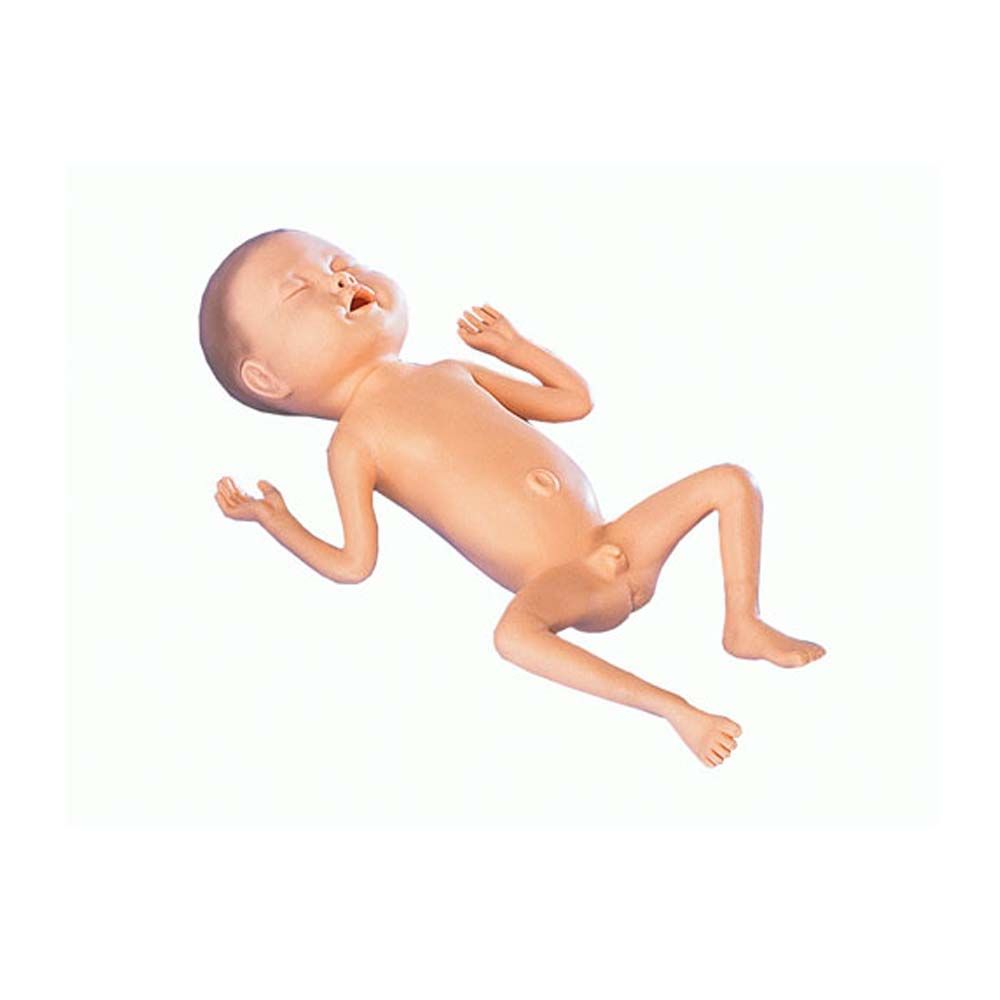 Erler Zimmer Modell- Frühgeborenes, 24 Wochen alt