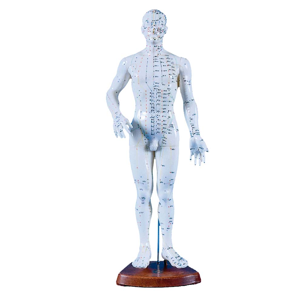 Erler Zimmer Chinesische Akupunkturfigur, 50 cm, männlich
