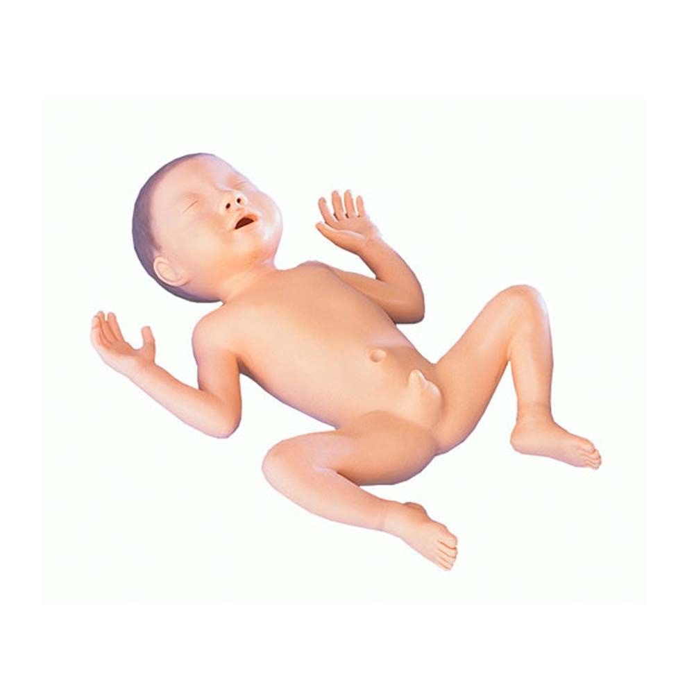 Erler Zimmer Modell- Frühgeborenes, 30 Wochen alt