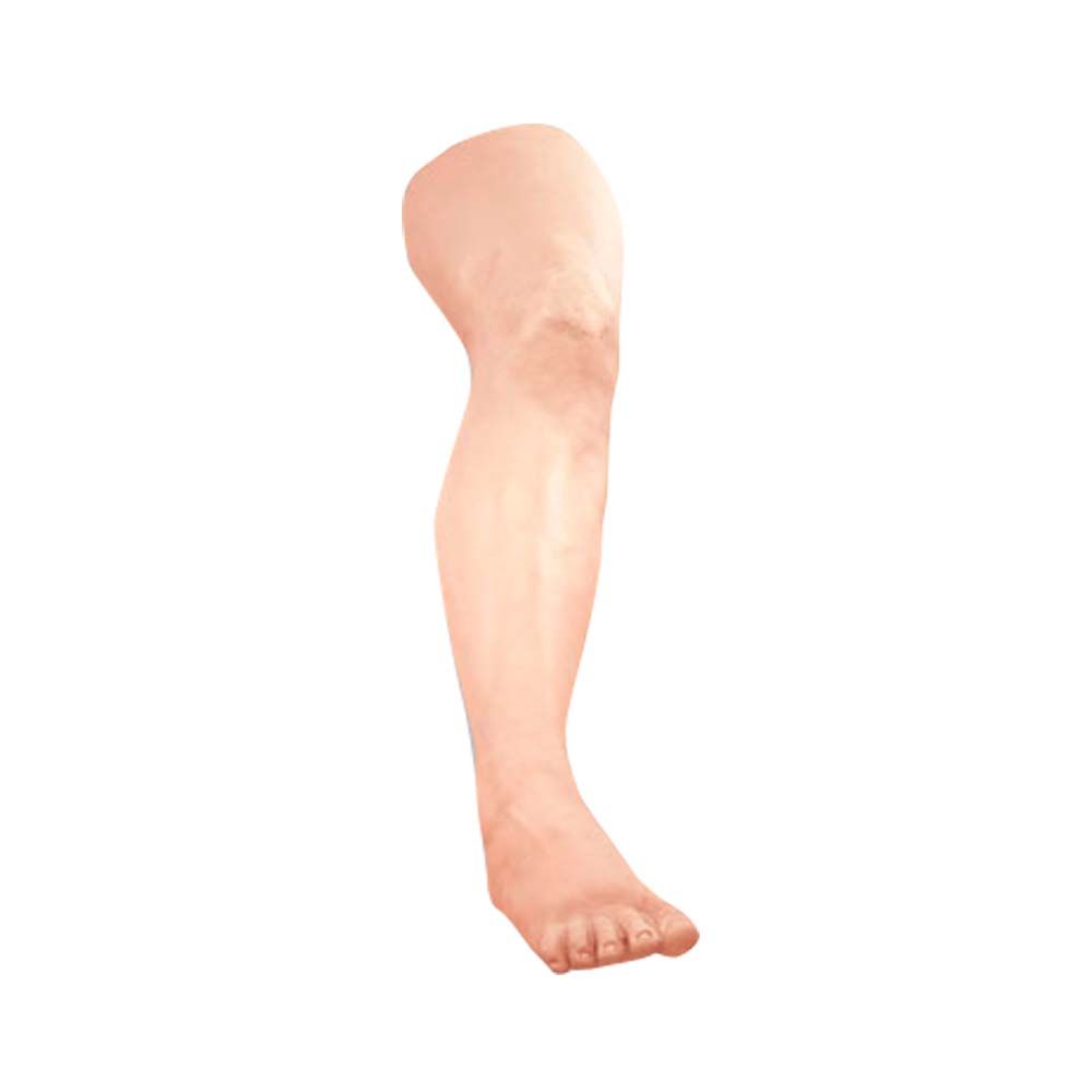 Erler Zimmer Simulator - Naht-Bein für Nahtübungen