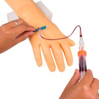 Erler Zimmer Trainingsarm 7010 für intravenöse...