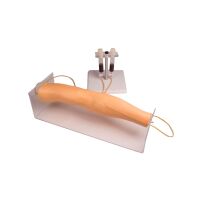 Erler Zimmer Trainingsarm 7020 für intravenöse...