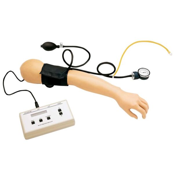 Arm- & Handmodelle