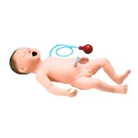 Erler Zimmer Trainer - Intubations- und...